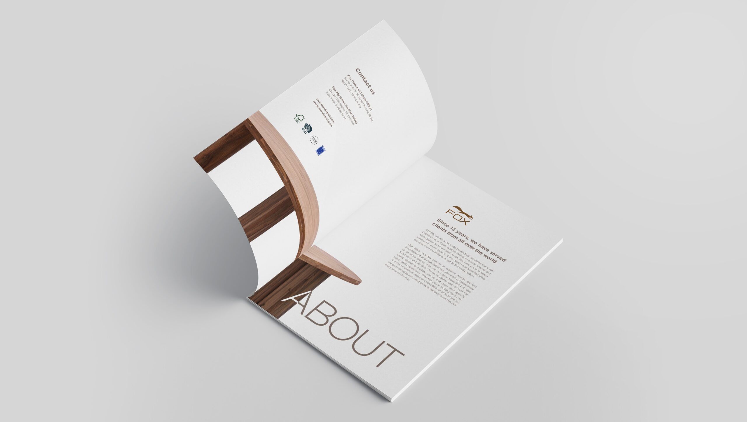 brochure design mockup of Fox's brand development journey