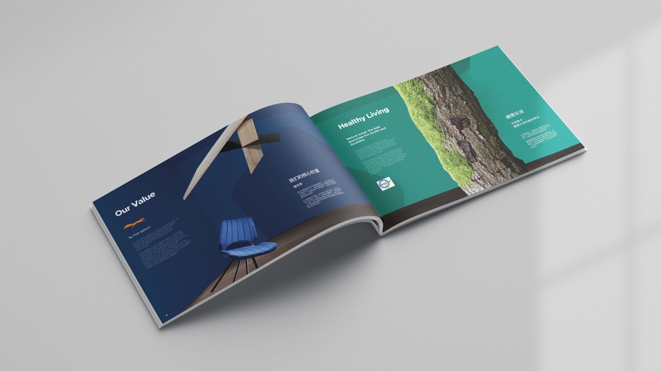 brochure design intro pages mockup of fox depot