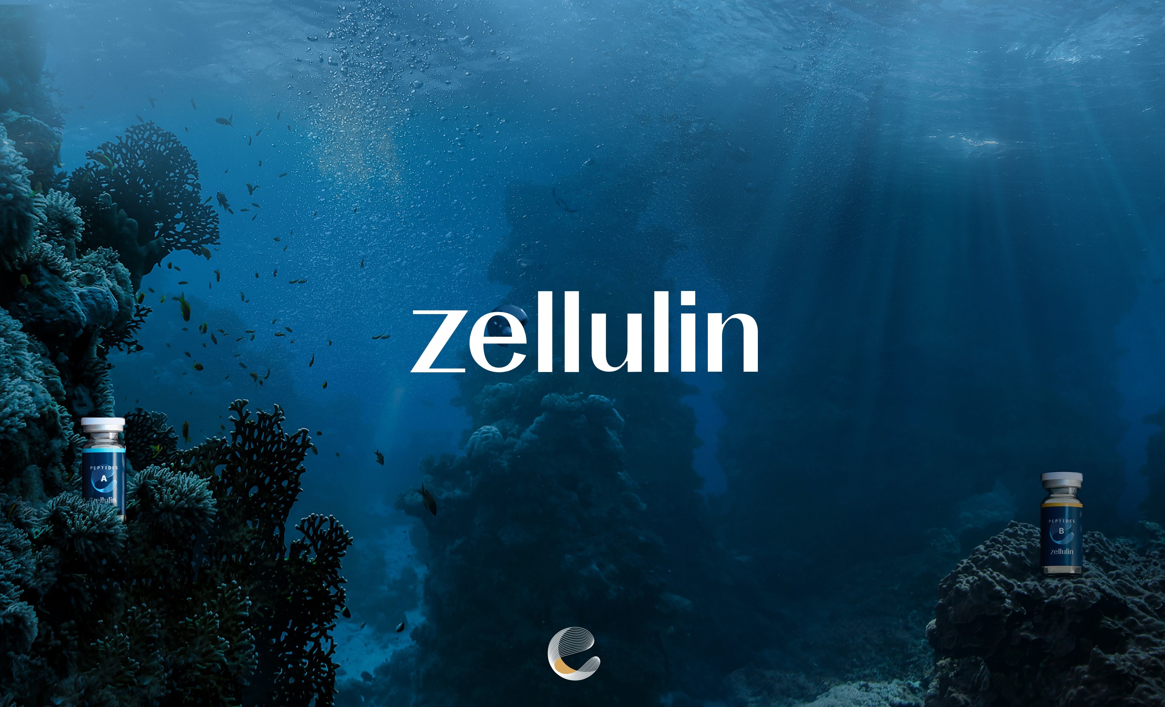 Zellulin Brand Setup Logo